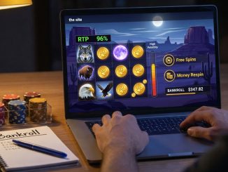 Over-the-shoulder nighttime photo of an adult using a laptop that displays a wolf-themed slot